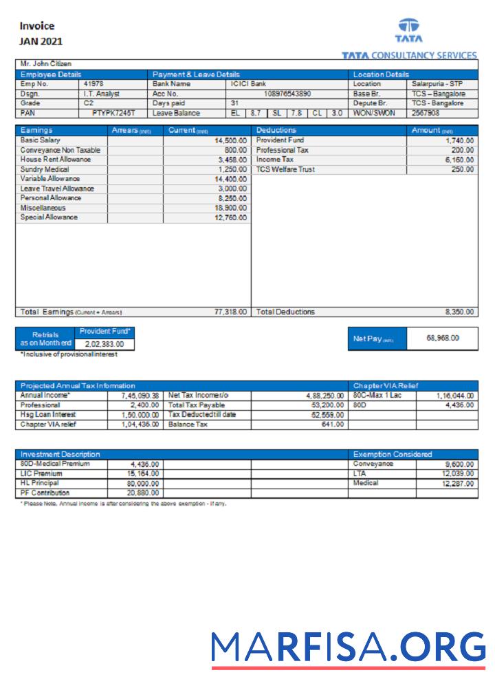 Realistic USA Tata Consulting Services invoice real example